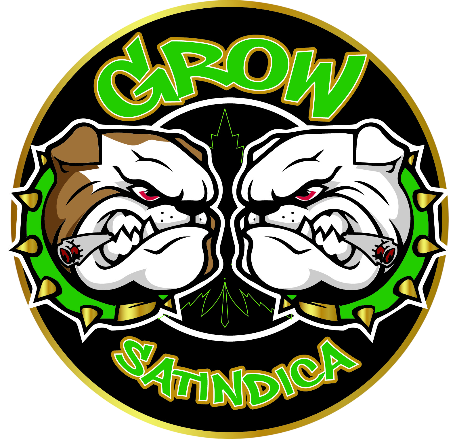Grow Satindica